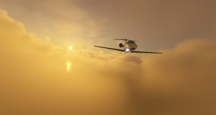 Microsoft Flight Simulator 8_16_2024 3_53_09 PM