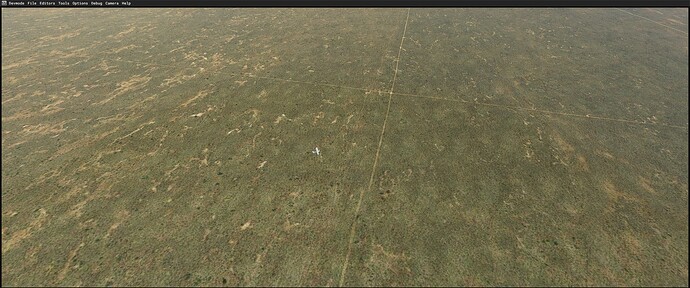 Grid lines on sim