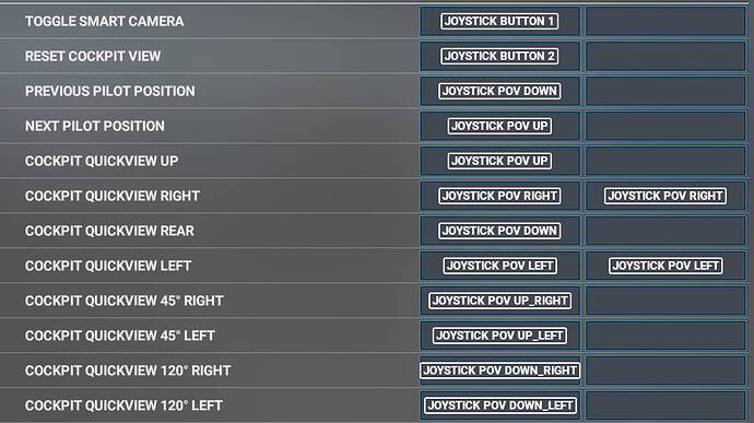 Options Cockpit views