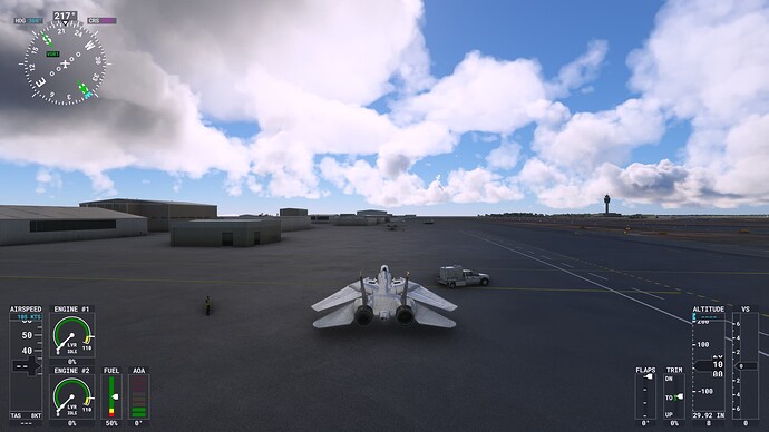 Microsoft Flight Simulator 1_6_2022 6_24_57 PM