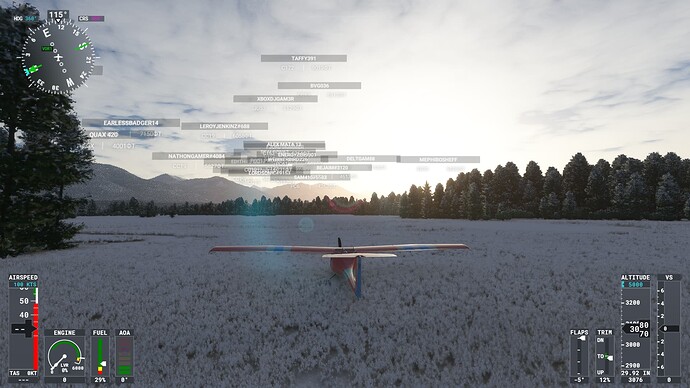 Microsoft Flight Simulator 08.01.2022 0_47_46