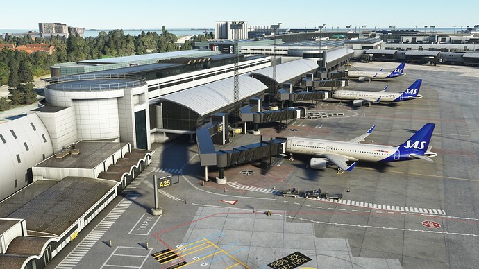 Microsoft Flight Simulator-2023_11_08-12-14-07