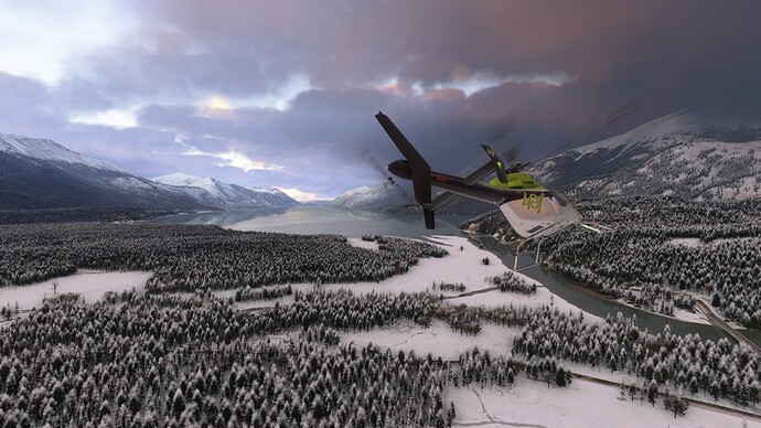Microsoft Flight Simulator 2024 10-05-2025 14_12_11