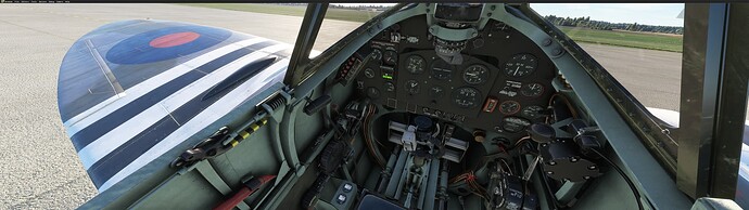 Microsoft Flight Simulator 3_31_2024 10_54_00 PM