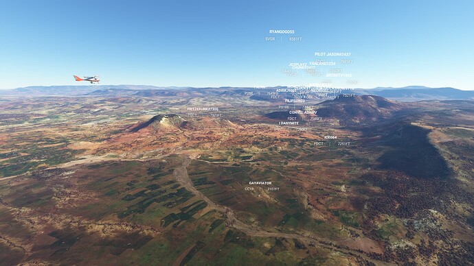 Microsoft Flight Simulator 1_23_2022 1_24_43 PM
