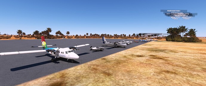 Microsoft Flight Simulator Screenshot 2022.01.25 - 13.04.01.35