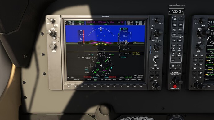 Microsoft Flight Simulator 10_30_2023 3_14_07 PM