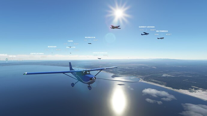 Microsoft Flight Simulator 11_4_2021 1_10_46 PM