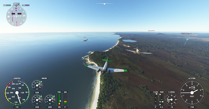 Microsoft Flight Simulator Screenshot 2022.02.04 - 20.45.59.48