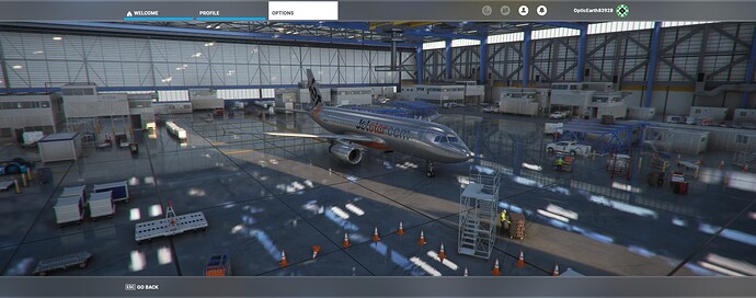 Microsoft Flight Simulator Screenshot 2024.03.02 - 12.56.28.01