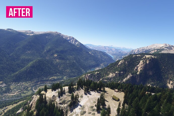 tree fix msfs france south8
