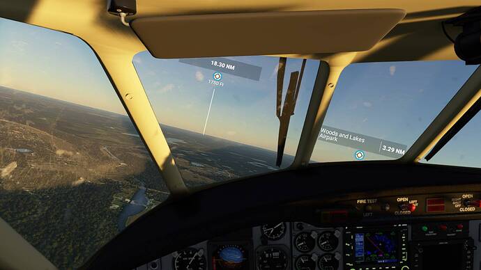 Microsoft Flight Simulator 5_9_2021 4_09_41 AM