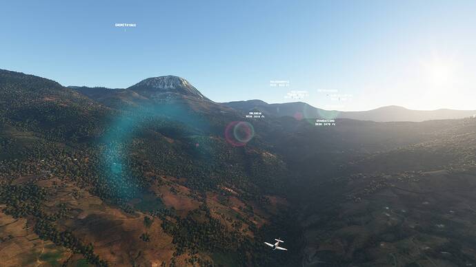 Microsoft Flight Simulator - 1.17.3.0 28.06.2021 21_53_27