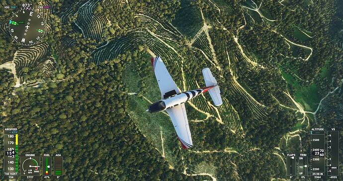 Microsoft Flight Simulator Screenshot 2021.06.24 - 21.28.23.57