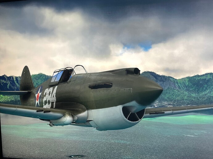 P-40B_2 (2)