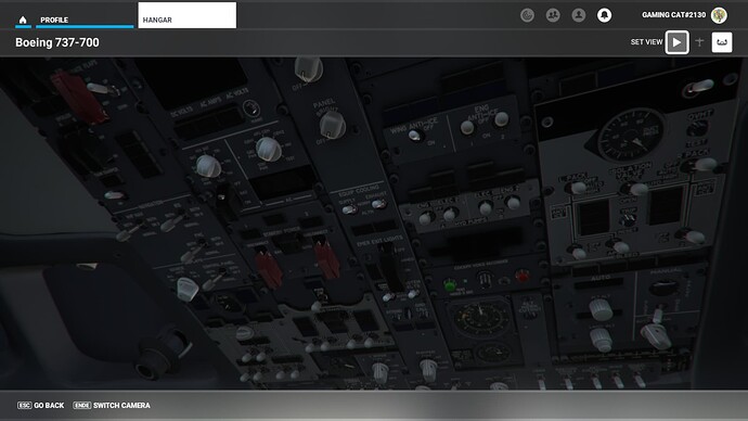 Microsoft Flight Simulator 10_05_2022 07_55_02