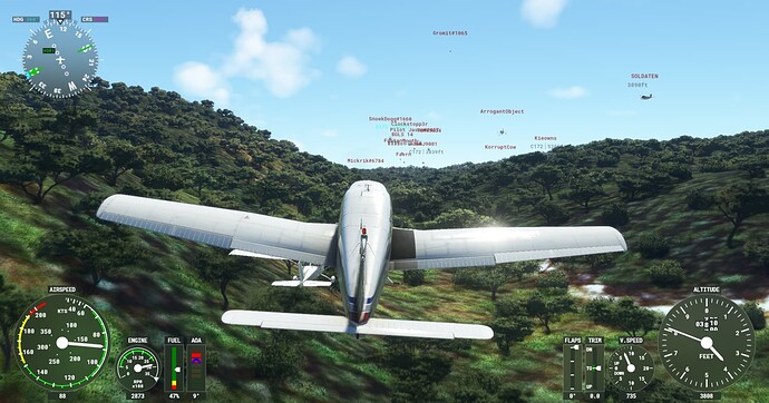 Microsoft Flight Simulator Screenshot 2022.01.10 - 21.35.59.13