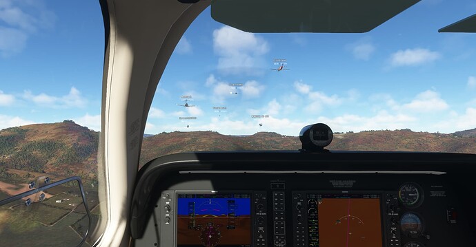 Microsoft Flight Simulator 1_16_2022 4_31_42 PM