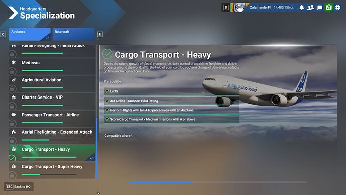 2024-12-03 18_33_24-Microsoft Flight Simulator 2024 - 1.1.10.0-unlocked
