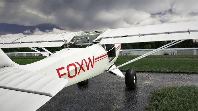 Microsoft Flight Simulator Screenshot 2022.03.09 - 20.00.58.48