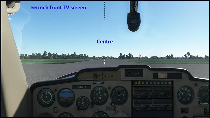 MSFS Default VFR Pilot view