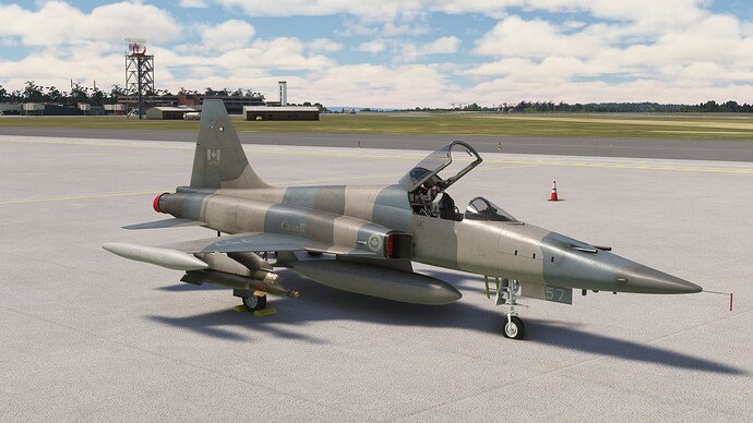 Microsoft Flight Simulator-2025_05_08-18-26-22
