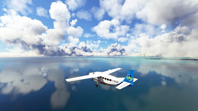 Microsoft Flight Simulator (11)