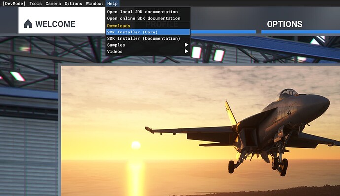 Microsoft Flight Simulator Screenshot 2021.12.22 - 20.30.21.20