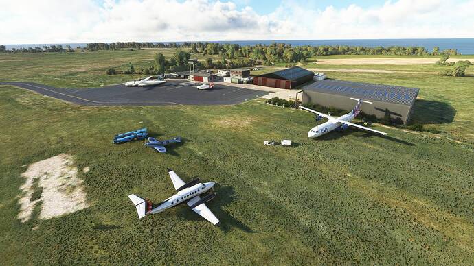 Microsoft Flight Simulator 4_11_2023 00_06_36