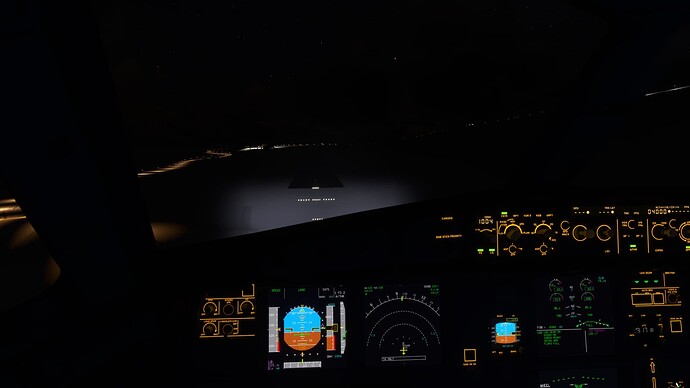 Microsoft Flight Simulator Screenshot 2022.01.08 - 20.17.20.63