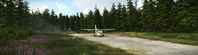 Microsoft Flight Simulator Screenshot 2022.09.25 - 18.24.53.68