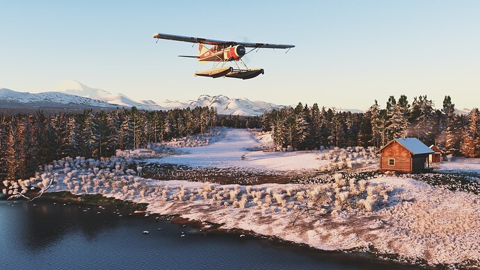 Beaver in Alaska