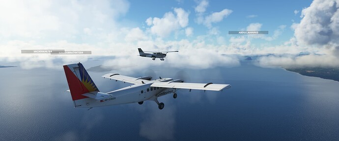 Microsoft Flight Simulator Screenshot 2022.02.01 - 03.43.03.46