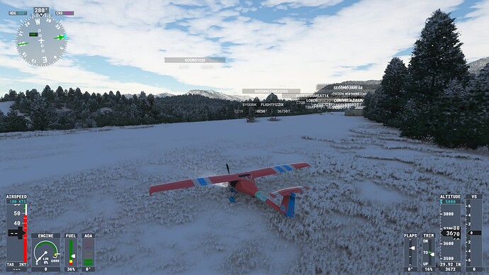 Microsoft Flight Simulator 08.01.2022 0_13_39
