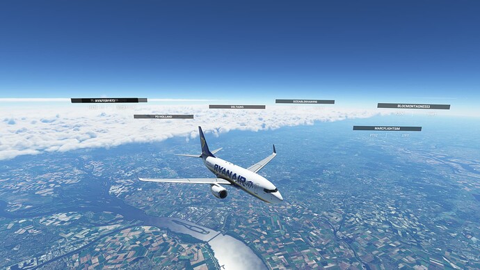 Microsoft Flight Simulator - 1.25.9.0 17.05.2022 11_31_31