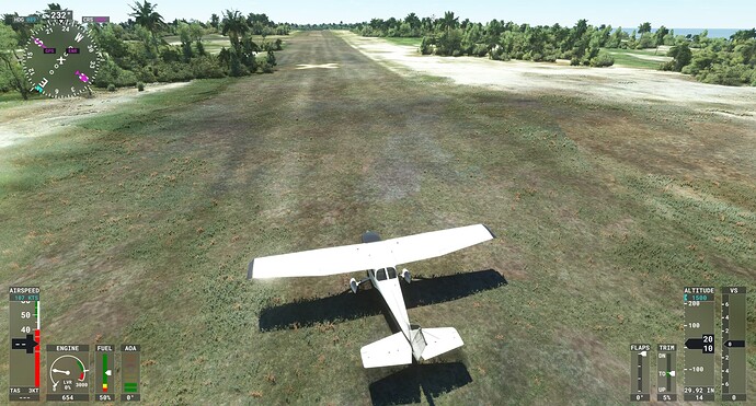 Microsoft Flight Simulator Screenshot 2022.03.06 - 18.09.56.61