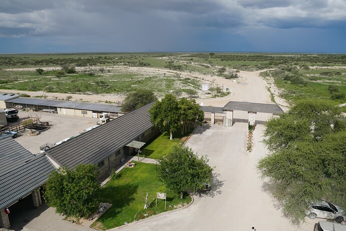 Okaukuejo main gate, view to East