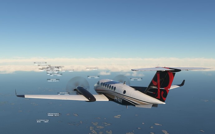 Microsoft Flight Simulator 1-11-2024 19_44_14