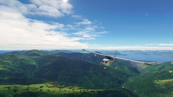 20211107-Microsoft Flight Simulator (18)