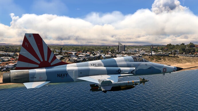 Microsoft Flight Simulator 28_01_2024 11_10_18 AM