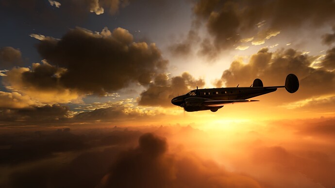 Microsoft Flight Simulator 2024-04-08 5_02_40 PM_marked