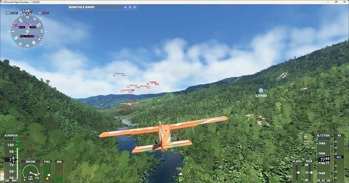 Microsoft Flight Simulator 11_14_2022 8_52_24 PM