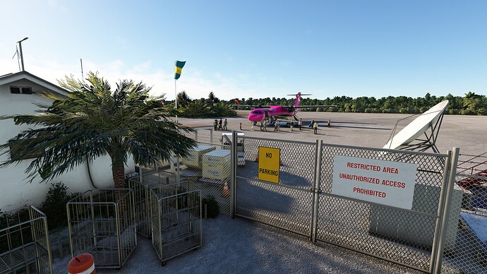 Microsoft Flight Simulator_2024.06.30-15.14