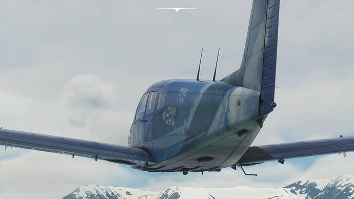 Microsoft Flight Simulator Screenshot 2021.08.08 - 06.16.17.83