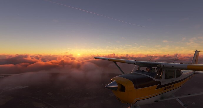 Microsoft Flight Simulator 1_4_2023 1_09_35 PM