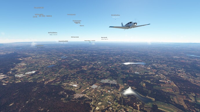 Microsoft Flight Simulator 3_31_2022 1_34_45 PM