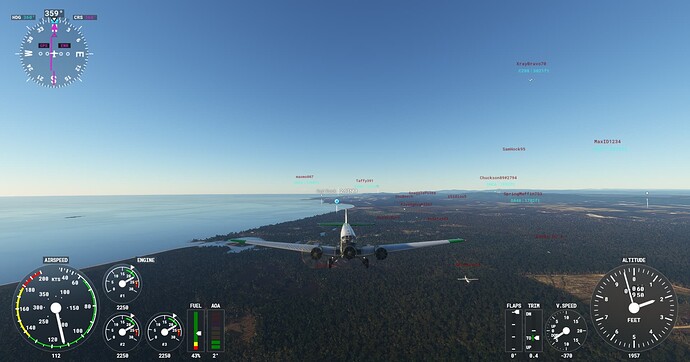 Microsoft Flight Simulator Screenshot 2022.02.04 - 20.31.54.86