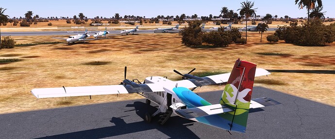 Microsoft Flight Simulator Screenshot 2022.01.25 - 13.11.43.24