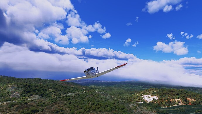 Microsoft Flight Simulator Screenshot 2022.04.17 - 10.34.55.64