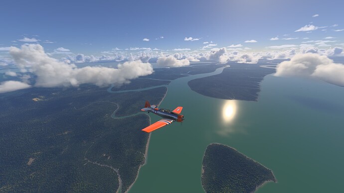 Microsoft Flight Simulator 2024-2025_05_11-06-43-51